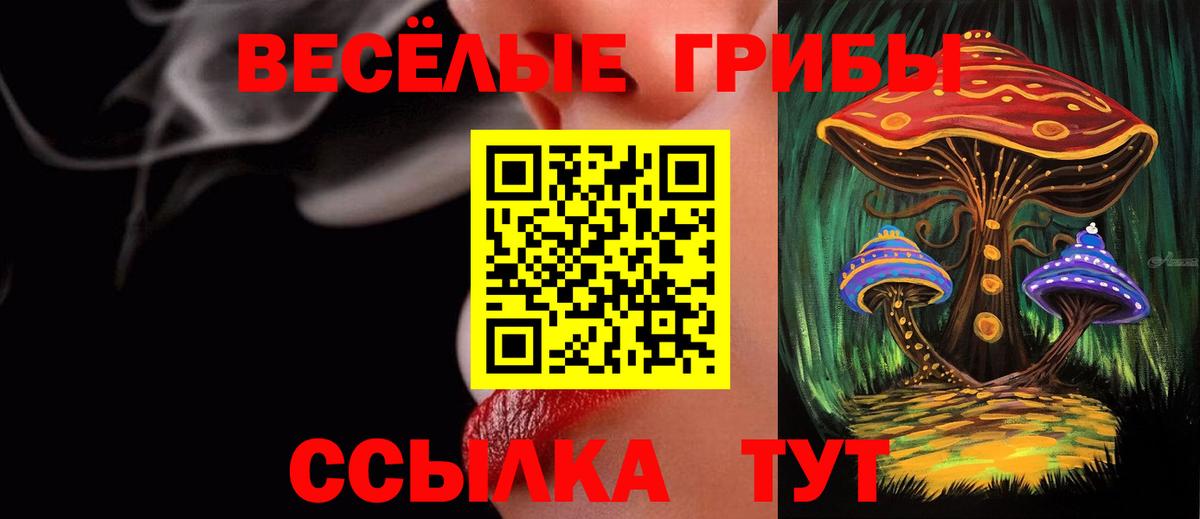 Псилоцибиновые грибы мицелий  Вход с VPN  Феодосия  Галлюциногенные грибы мухоморы 