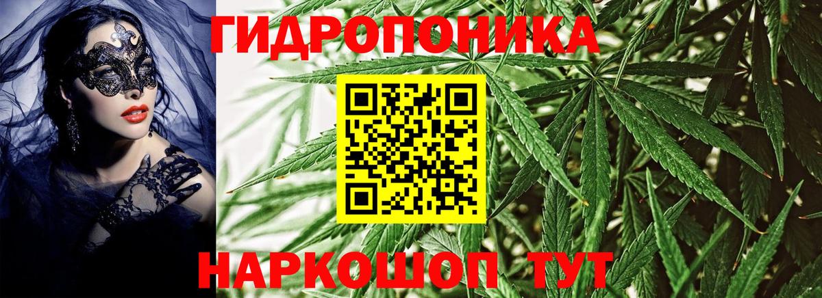 Бошки Шишки семена  Каннабис OG Kush  Бошки марихуана тримм  Вход с VPN  Феодосия 